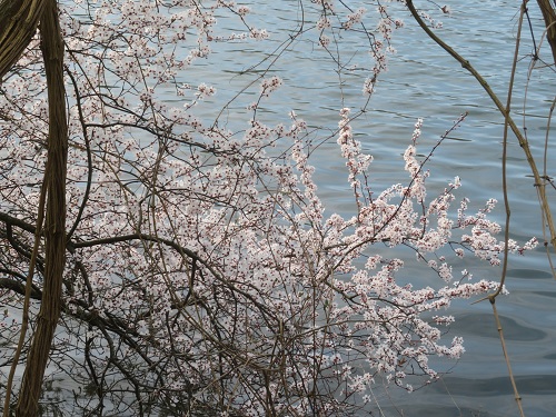 09032021 2
