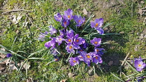 08032022 1